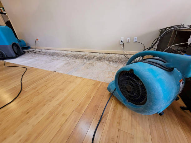 Professional Water Damage Repair technician working in Amsterdam, OH